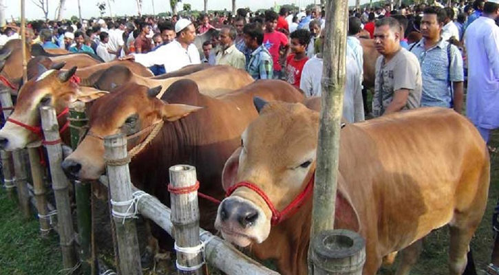 4,407 cattle markets countrywide, no entry without mask