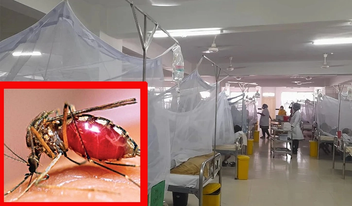 dengue-9-die-882-hospitalised-in-last-24-hours-or-banglanews24-com