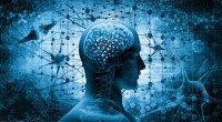 Improve your memory with these natural remedies