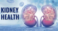 World Kidney Day: Some habits can damage your kidney