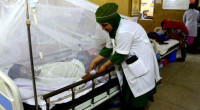 Bangladesh reports 4 dengue cases