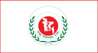 Country may witness massive dengue outbreak: DGHS