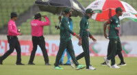 Rain Ruined Tigers Surge Against Black Caps 