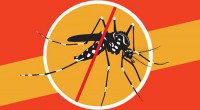 Dengue: 15 dead, 2,950 hospitalised in a day