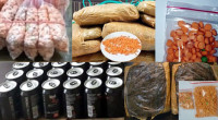 DMP arrests 41, files 23 cases in 24-hr anti-narcotics drive