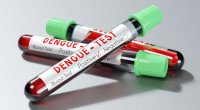 Dengue fever: 1 dies, 10 hospitalised in 24 hours