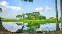 Mild to moderate heatwave sweeps over parts of Bangladesh