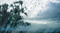 Met office forecasts light to moderate rain in parts of Bangladesh
