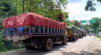 Fish export to Agartala halted over permit issue