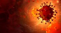 9 new Covid cases detected in 24 Hours