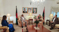 UK envoy meets BNP leaders in Dhaka 