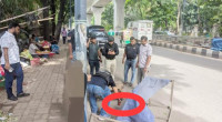 7 cocktails recovered near Dhaka University and High Court