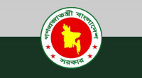Govt publishes 'July Uprising Martyrs' ordinance 2025