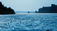 Rain likely across the country