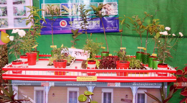 উন্নয়ন মেলায় ছাদ বাগানের নমুনা-ছবি-বাংলানিউজ
