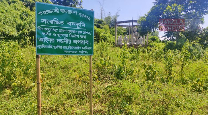 নিষিদ্ধ থাকলেও পাহাড়ের গাছ কেটেছেন বৌদ্ধ ভিক্ষু শরনংকর থের। ছবি: বাংলানিউজ
