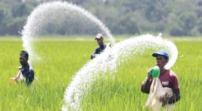 ৯০ হাজার টন সার কিনবে সরকার
