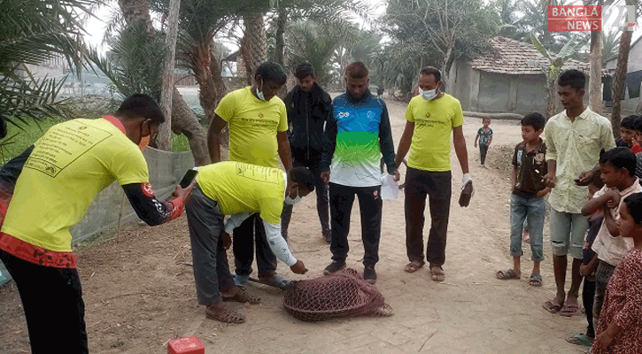 সাতক্ষীরায় জলাতঙ্ক রোগ নির্মূলে কুকুরের শরীরে ভ্যাকসিন