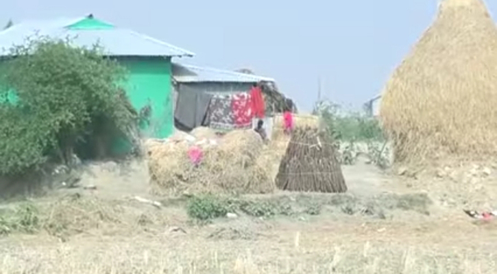 মোখা আতঙ্ক: বেড়িবাঁধহীন চরগাসিয়ার ১৭ হাজার মানুষ ঝুঁকিতে