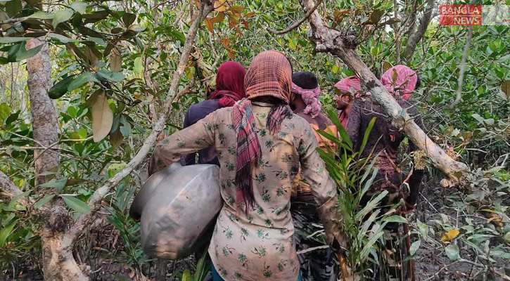 ৩ মাসের জন্য বন্ধ হলো সুন্দরবনের দুয়ার