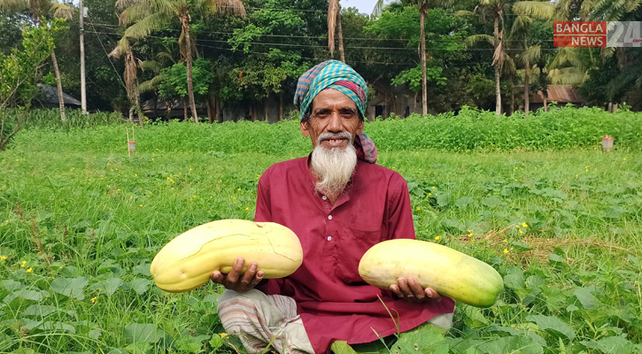 রাজবাড়ীতে লালিম চাষে তাক লাগালেন কৃষক গফুর 