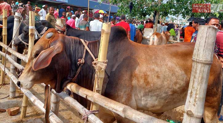 খুলনায় এক হাটে রাজস্ব আদায় ২ কোটি ১৮ লাখ