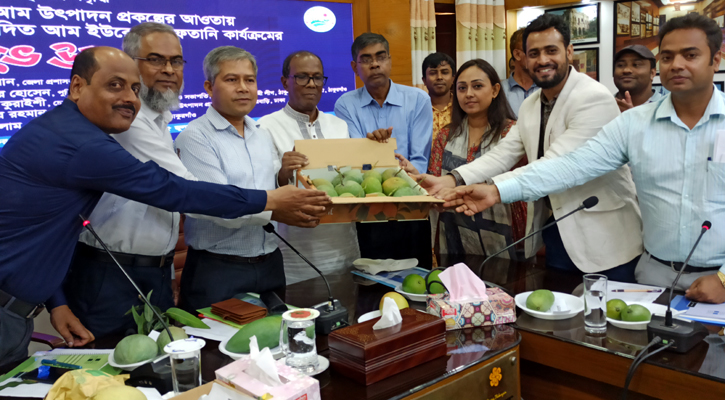 ঠাকুরগাঁও থেকে ইউরোপে আম রপ্তানির উদ্বোধন