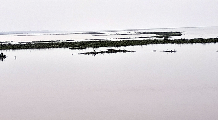 সিরাজগঞ্জে বাড়ছে যমুনার পানি