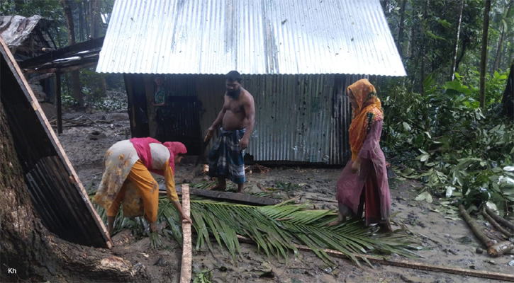 শত্রুতায় গেল ১৩৫টি গাছের প্রাণ, বাঁধা দেওয়ায় হুমকি