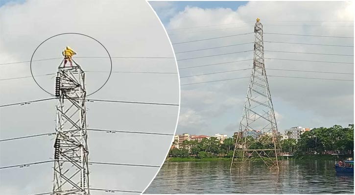 ১ লাখ ৩২ হাজার ভোল্টেজের টাওয়ার থেকে নেমে যা বললেন ওই নারী