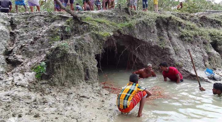 বাক্সকলে ঝাঁজরা উপকূল রক্ষা বাঁধ, নির্বিকার পাউবো!