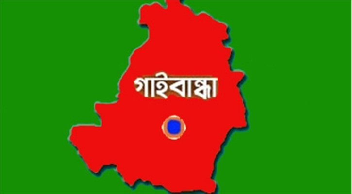 পলাশবাড়ীতে ইউনিয়ন পরিষদের গাছ কেটে বিক্রি, জানেন না চেয়ারম্যান