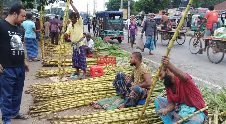 রাজবাড়ীতে আখের বাম্পার ফলনেও হাসি নেই কৃষকের মুখে