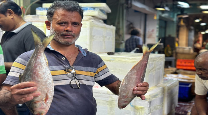 ৩৯৫০ টনের মধ্যে ভারত পেয়েছে ৫৬০ টন ইলিশ