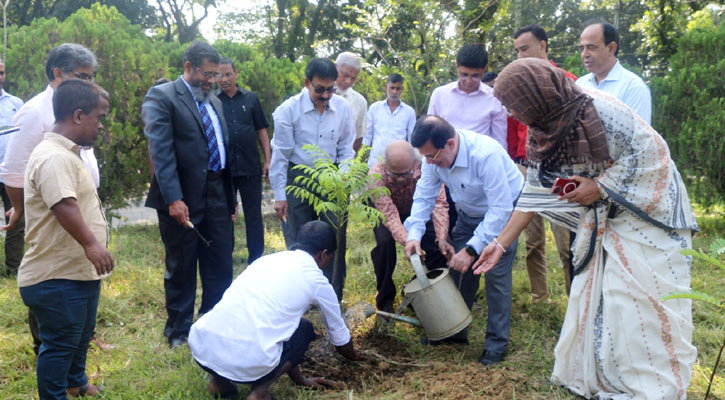 শেখ রাসেলের জন্মদিনে শাবিপ্রবিতে বৃক্ষরোপণ