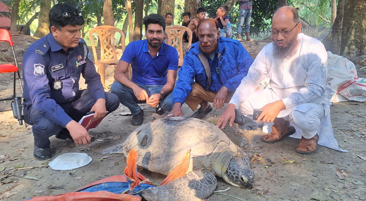 ২০০ বছরের ৭১ কেজি ওজনের কাছিম মেঘনায় অবমুক্ত