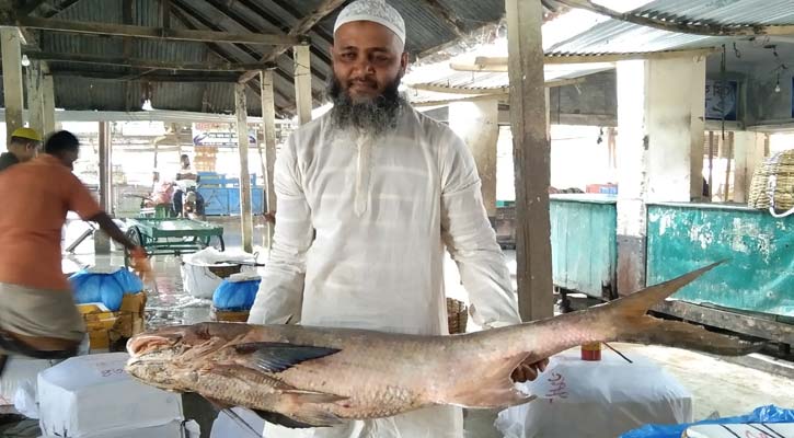 বড়শিতে ধরা ১৭ কেজির লাক্ষা, বিক্রি ৪০ হাজারে