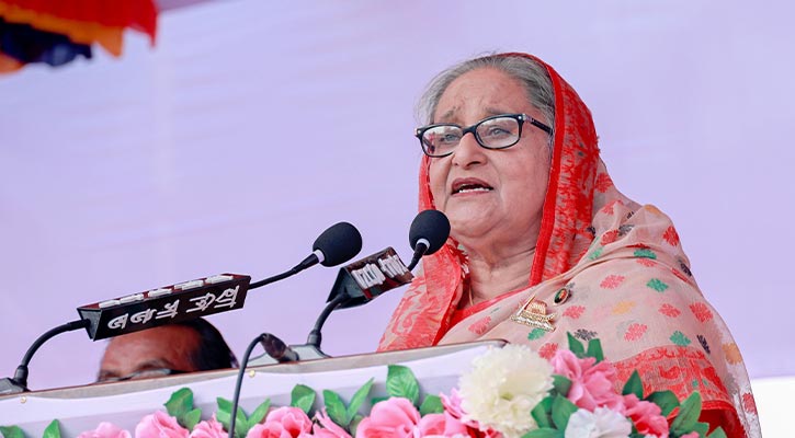 বিদেশিরা নাক গলাতে এলে মেনে নেব না: শেখ হাসিনা