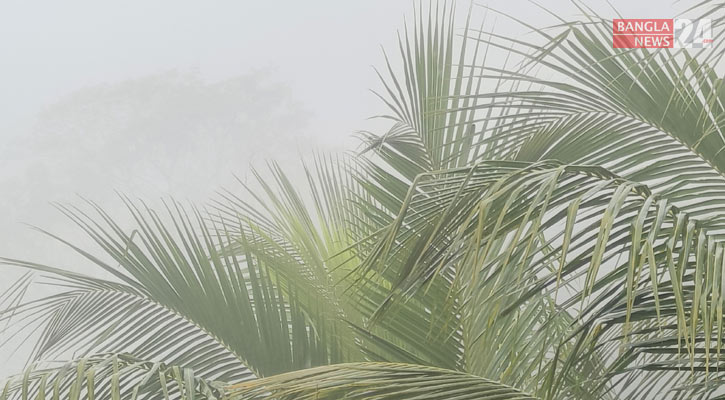 বেতাগীতে কুয়াশা তো নয় যেন ঝিরি ঝিরি বৃষ্টি