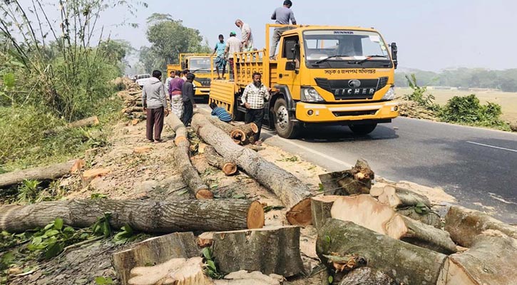 ভুয়া কার্যাদেশ দেখিয়ে মহাসড়কের গাছ লুটের চেষ্টা