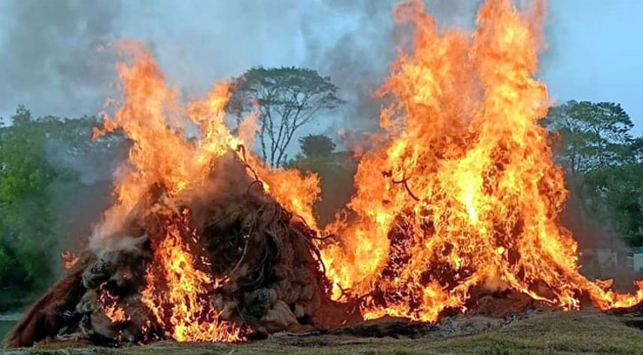 বরগুনায় ৫৬ অবৈধ বেহুন্দি জাল পুড়িয়ে ধ্বংস