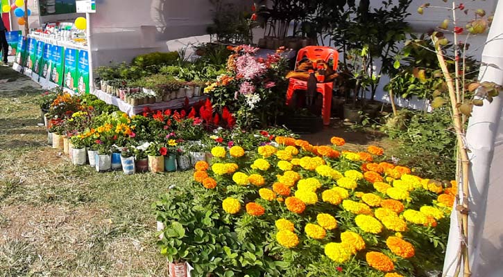 ৫০ জাতের ফুলগাছের চারা এডওয়ার্ড কলেজের মেলায়