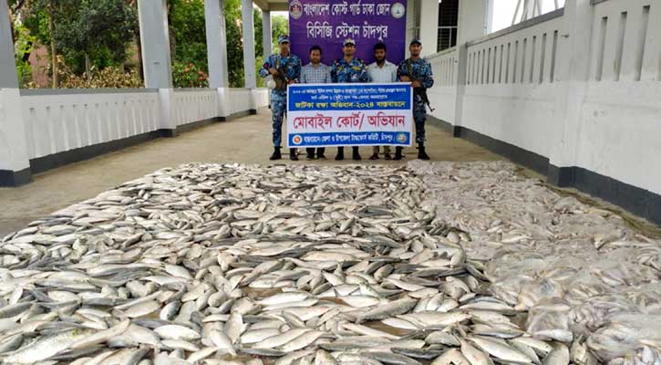 চাঁদপুরে ১০৬ মণ ইলিশসহ অন্যান্য মাছ জব্দ