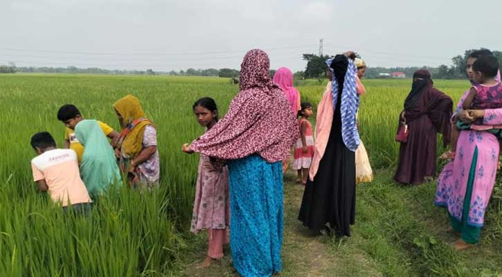 ব্রাহ্মণবাড়িয়ায় প্রতিপক্ষের ছুরিকাঘাতে কৃষক খুন