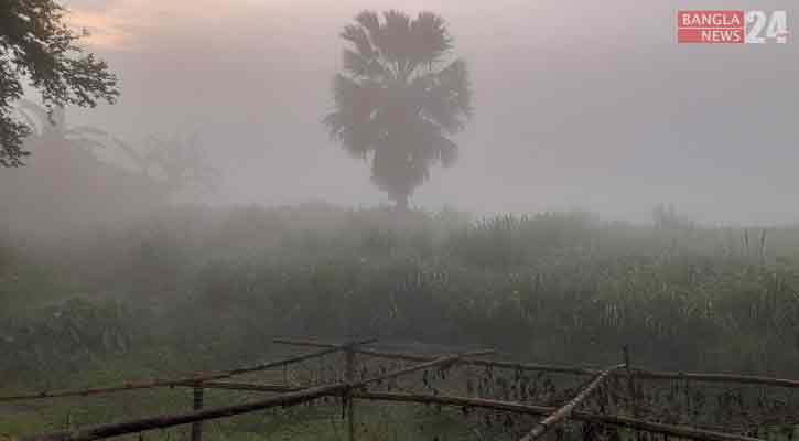 চৈত্রের শেষে হঠাৎ ঘন কুয়াশায় ঢাকা পড়েছে সালথা