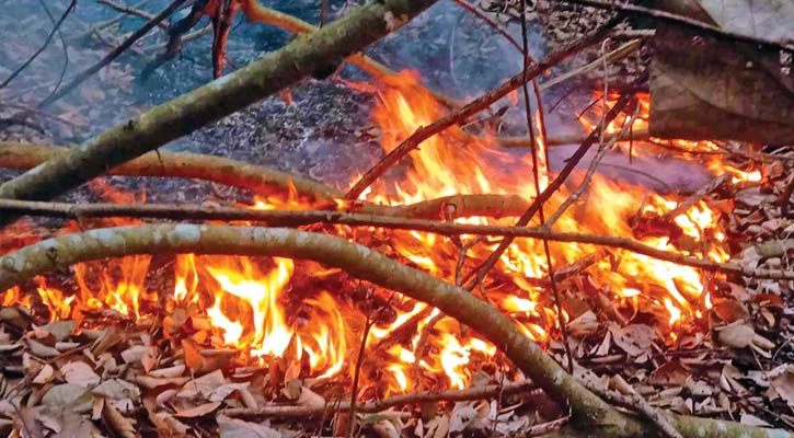 সুন্দরবনের আগুন নিয়ন্ত্রণে, তদন্তে কমিটি