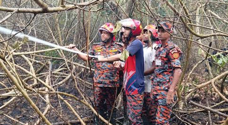 সুন্দরবনে আগুন: কিছু জায়গায় এখনও ধোঁয়া, নিয়ন্ত্রণে ফায়ার সার্ভিস