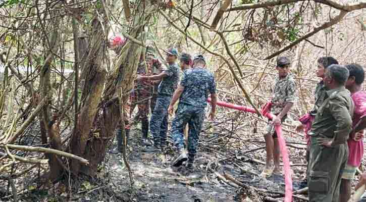 বৃষ্টিতে নিভেছে সুন্দরবনের আগুন,  সতর্কতার জন্য চলছে অনুসন্ধান