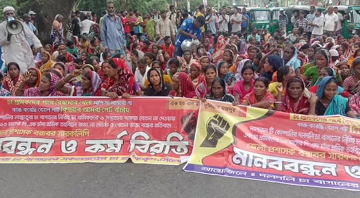 বকেয়া মজুরির দাবিতে চা শ্রমিকদের বিক্ষোভ,