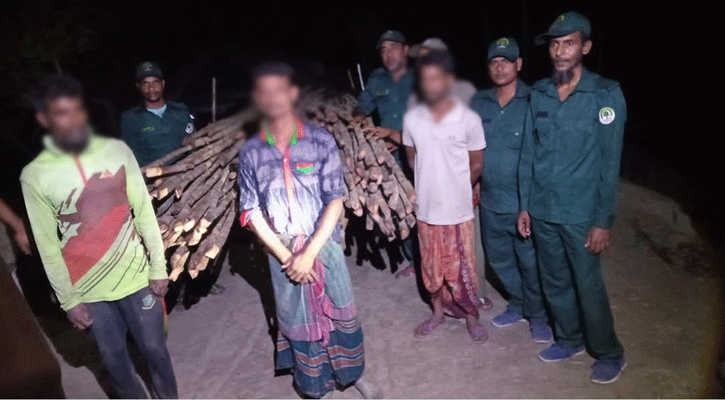 সুন্দরবনের গরান গাছ পাচারের সময় আটক তিন